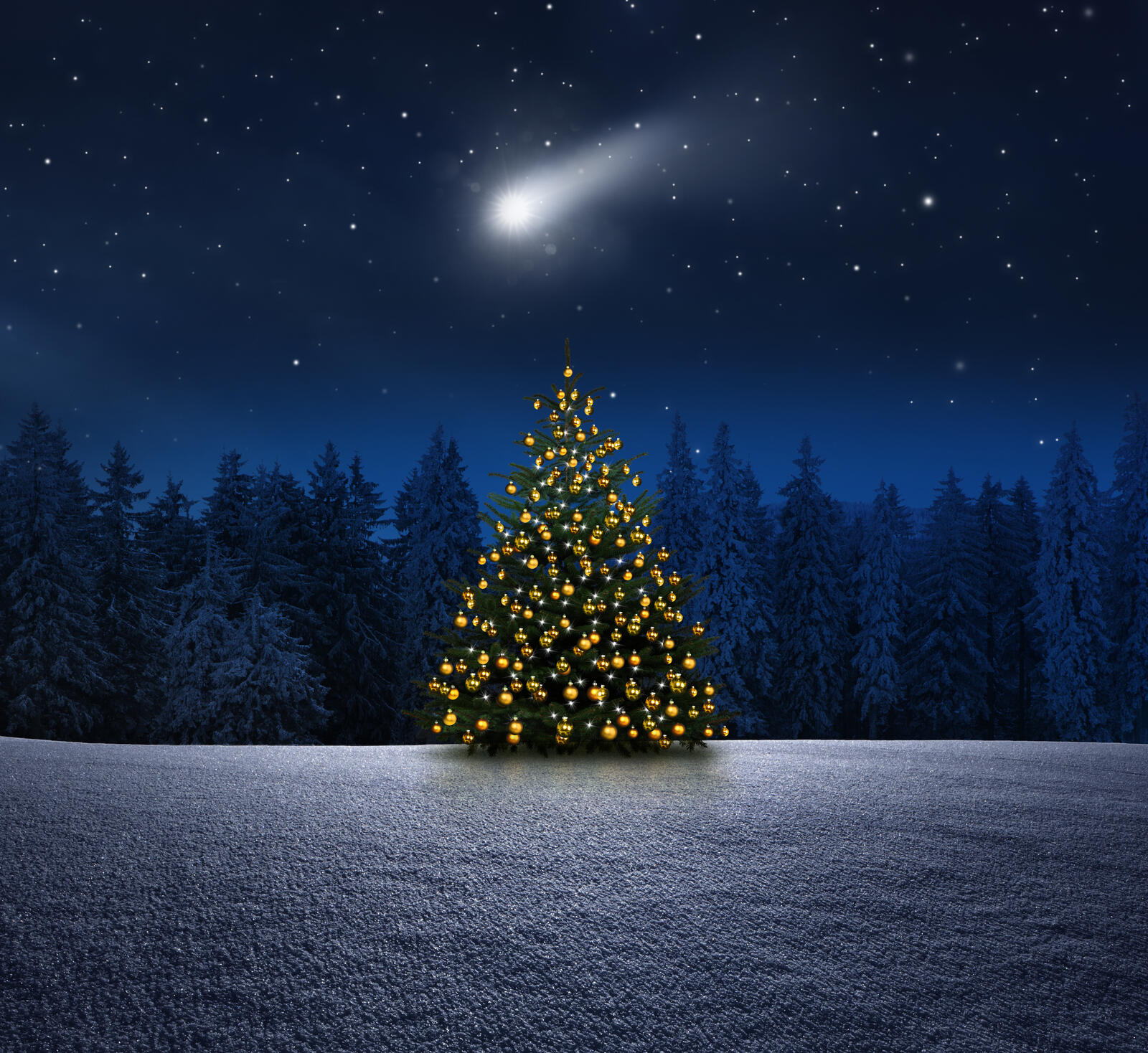 Schöne Weihnachten wünscht das Team der Informatik Aktuell <br>© Adobe: by-studio