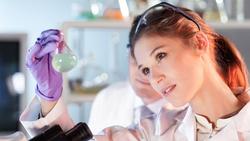 5 Dinge, die Sie über Regressionstests wissen sollten