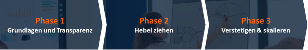 Abb.4.: 90 Tage Roadmap © Ali Shahpoor