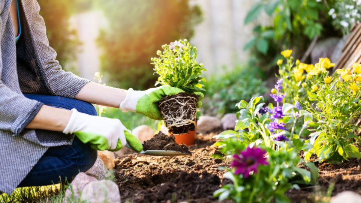 Was wäre, wenn wir Softwareentwicklung nicht ausschließlich als Bauprozess denken würden, sondern als Gartenarbeit? © Adobe: ronstik / stock.adobe.com / 206735513